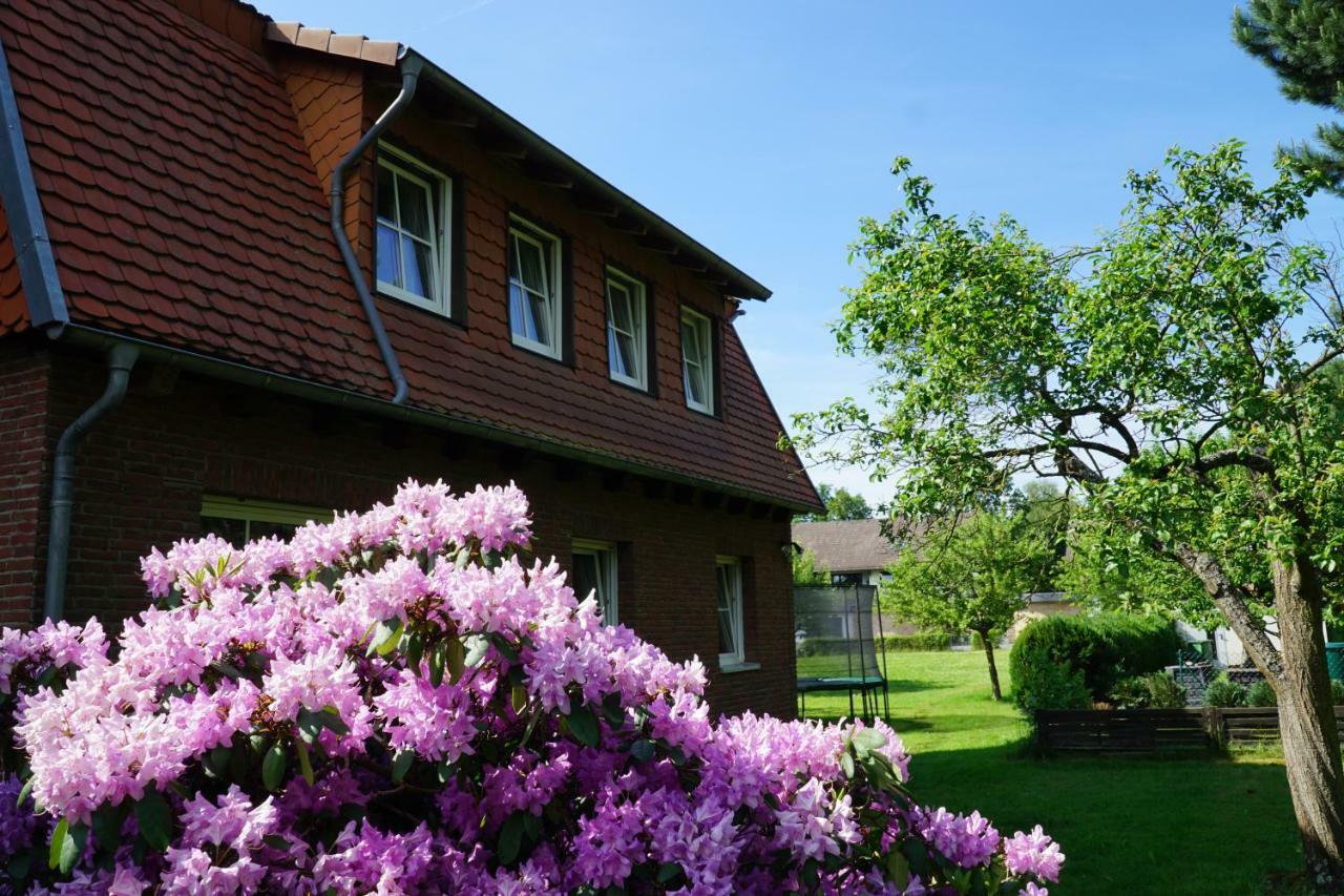 Hotel Mansion Bad Arolsen Esterno foto